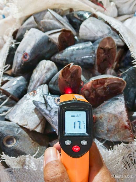 Cold-chain temperature check at raw material intake